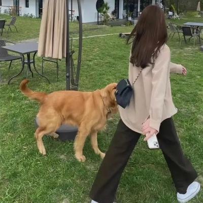 恐怖腊像馆